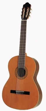 Esteve 1 classical guitar